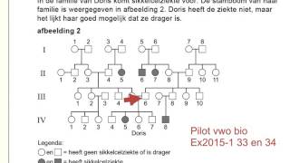 vwo biologie examen 20151 uitleg 33 en 34 stamboom [upl. by Sklar]