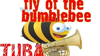 RimskyKorsakov Flight of the Bumblebee  solo BBb TUBA Полет шмеля на тубе ✔ [upl. by Winnifred]