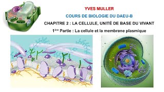 Chapitre 2 – 1ère Partie  La cellule et la membrane plasmique  Cours de Biologie du DAEUB [upl. by Nosnor74]