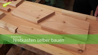 Anleitung Nistkasten selber bauen [upl. by Eloise]