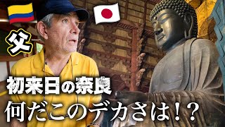 コロンビア人父が見た事ない大きさの大仏に圧倒。感動で言葉を失う【初来日】 [upl. by Ackerman]