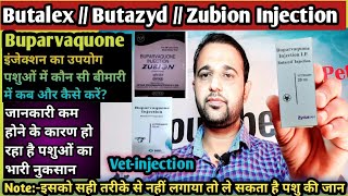 ButalexButazydZubionBuparvaquoneInjection का उपयोग पशुओं में कौन सी बीमारी में कब और कैसे करें [upl. by Takken]