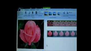 como agregar fotos a un video usando windows live movie maker [upl. by Huesman39]