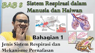 KSSM Bio Ting 4  Bab 8  Sistem Respirasi dalam Manusia amp Haiwan Part 1 [upl. by Pepillo577]