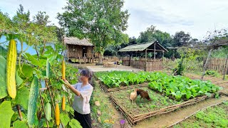 Full Video 75 Days of farm life Gardening Farming Cooking Animal Care  Sơn Thôn [upl. by Emogene]