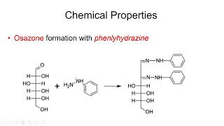 Carbohydrates Physical and Chemical Properties  Lecture 6b [upl. by Setiram]