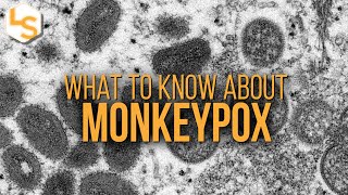 Monkeypox Explained [upl. by Perla]