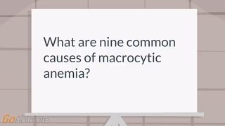 What are the causes of macrocytic anemia [upl. by Lanoil]