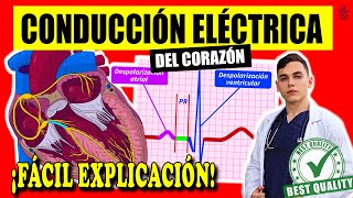 SISTEMA DE CONDUCCIÓN DEL CORAZÓN ‼️ [upl. by Sonnnie]