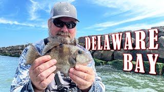 Outer wall fishing in Delaware Bay [upl. by Joline436]