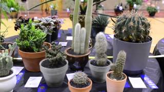 Hemphill Garden Club Flower Show 2015 [upl. by Ekusuy53]