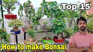 Creating Bonsai from Seedlings  Greenwood Bonsai [upl. by Phenice596]