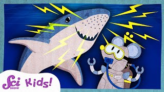 How Sharks Find Food With Electricity  Amazing Animal Senses  SciShow Kids [upl. by Aicelef]