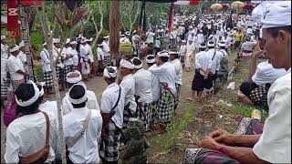 umanis galungan ring amunduk taro [upl. by Ute]