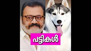 മലയാള നടന്മാരുടെ പട്ടികൾ😱വില കേട്ടാൽ കിളിപോകും😵DOGS OF MALAYALAM ACTORS [upl. by Greenman]