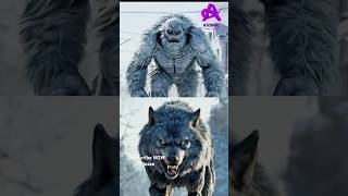 Yeti VS Hippo Snow Leopard Werewolf Dragon [upl. by Nhguavaj]