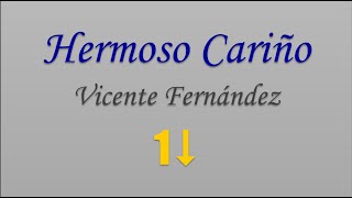 UN TONO ABAJO  KARAOKE  Hermoso Cariño  Vicente Fernández [upl. by Bolling312]