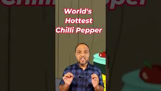 Why this Chilli called Bhut GhostPepper Worlds Hottest Chilli  Japans Bhut Jolokia Chips [upl. by Neliac613]