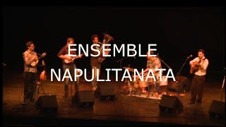 Ensemble Napulitanata Live Festival Mandolines de Lunel [upl. by Yehudi]