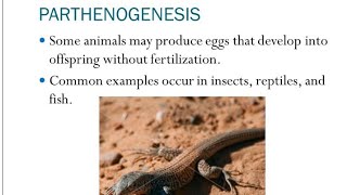 Parthenogenesis types and Significance [upl. by Tekcirc]