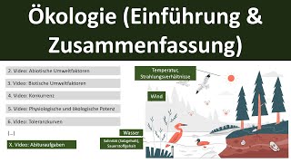 Ökologie EinführungZusammenfassung  Abitur Biologie Ökologie Oberstufe  110 [upl. by Serilda]