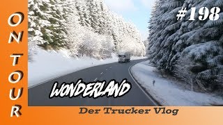 Wonderland  Vlog 198 [upl. by Atilrac]