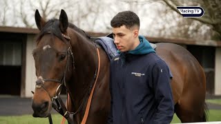 Nicky Henderson amp Harry Fry gallop morning ahead of the Cheltenham Festival [upl. by Dennard]