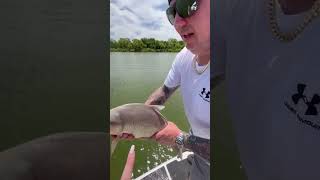 lake lewisville tx fishing [upl. by Ellicul889]