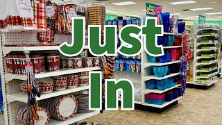 Dollar Tree 2024  NEW Finds This Week😮😮😮 [upl. by Ettenuahs]