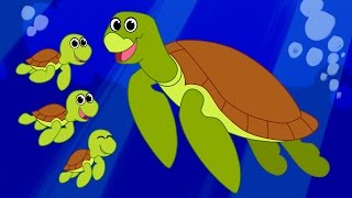 Sea Turtle Cartoon  Cute Animated Ocean Animals Video for Children  Learn Animals for Kids [upl. by Otreblada217]