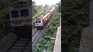 train shortvideo viralvideo [upl. by Leunas]