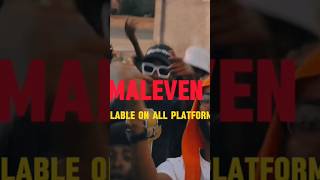 MALEVEN by Lepc and Mr McAwesomeson kimberley rappers freestyle lyricsvideo hiphop [upl. by Naeruat]