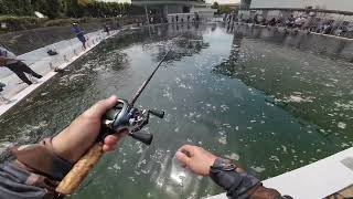 NEW FISHING POND IN SINGAPORE [upl. by Broadbent]