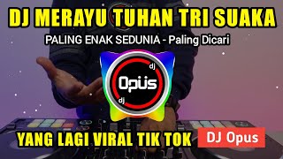 DJ MERAYU TUHAN TRI SUAKA VIRAL TIK TOK 2023  DJ AKU COBA MERAYU TUHANKU REMIX [upl. by Ayikahs]