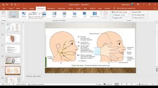 Head amp Neck Anatomy day 2 part C by Dr Farhat Amir [upl. by Teplitz]