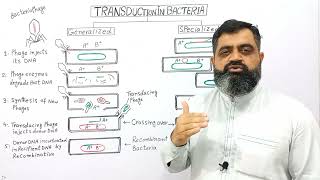 Transduction in Bacteria UrduHindi medium profmasoodfuzailtransduction [upl. by Oicaroh]