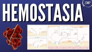 Hemostasia Explicada Claramente [upl. by Joerg]