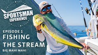 Fishing The Stream – Big Mahi Mahi  quotThe Sportsman Experiencequot  Episode 1 [upl. by Eiderf]