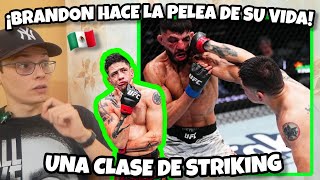 BRANDON MORENO le da UN BAILE a ALBAZI en el STRIKING💥 la pelea de SU VIDA🇲🇽 [upl. by Ahsenav449]