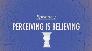 Perceiving is Believing Crash Course Psychology 7 [upl. by Acemahs282]