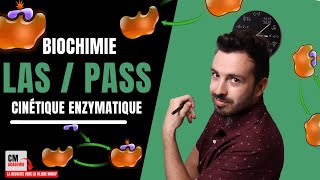 ENZYMOLOGIE  🧬Cinétique enzymatique ce quil faut maîtriser [upl. by Ecnerual]