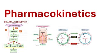 Pharmacokinetics ADME Absorption Distribution Metabolism Elimination [upl. by Auqenat]