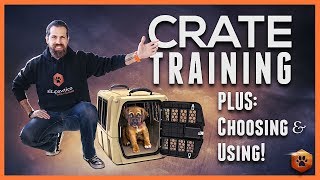 Crate Training Definitive Guide  Why and How to do it [upl. by Rolfston]