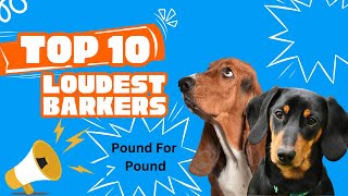 Top 10 Loudest Dog Breeds [upl. by Romeon884]