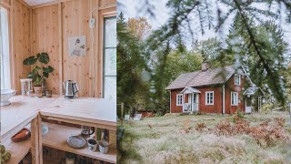 ONE YEAR PROGRESS Interior Designer Renovates Old Cabin Story 31 [upl. by Rona]