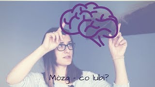 11 Co lubi Twój mózg [upl. by Ynitsed]