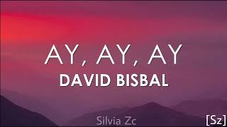 David Bisbal  Ay Ay Ay Letra [upl. by Nosyaj]