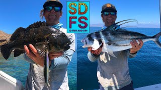 Rooster Fish Cabrilla amp a Boat Rescue  Fishing Loreto Baja California Sea of Cortez SDFS August 23 [upl. by Herman]