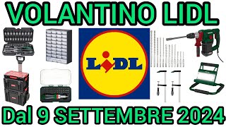 VOLANTINO LIDL PARKSIDE FAI DA TE DAL 9 SETTEMBRE 2024 volantinospesa performancebricolagelidl [upl. by Brosine116]