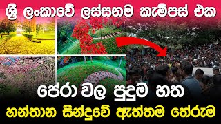 ශ්‍රී ලංකාවේ ලස්සනම කැම්පස් එක  University of Peradeniya [upl. by Disharoon]